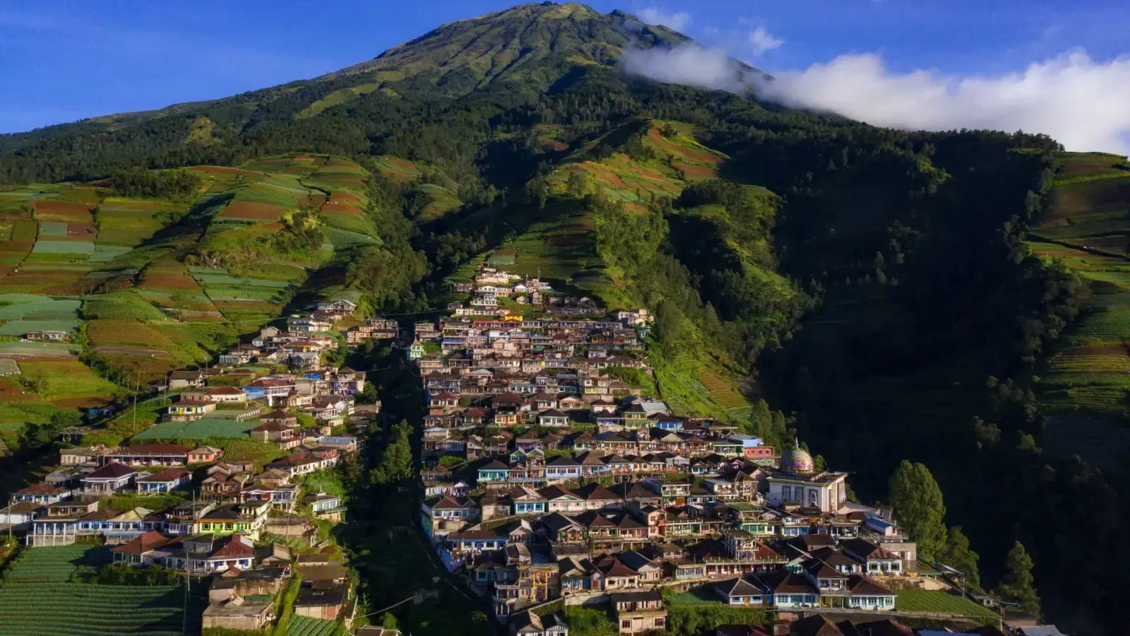 Nepal Van Java
