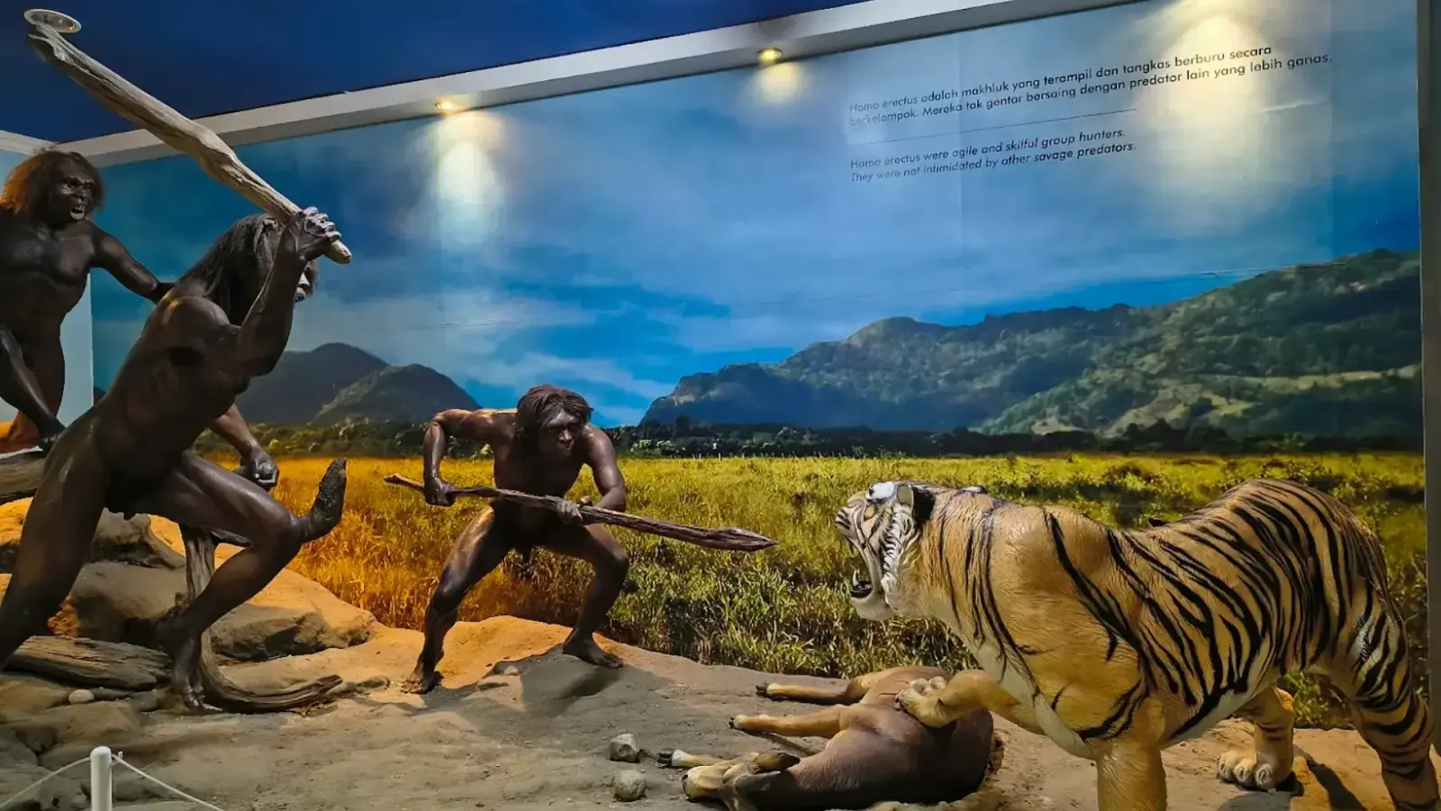 Sangiran Museum - Early Human Site (UNESCO)