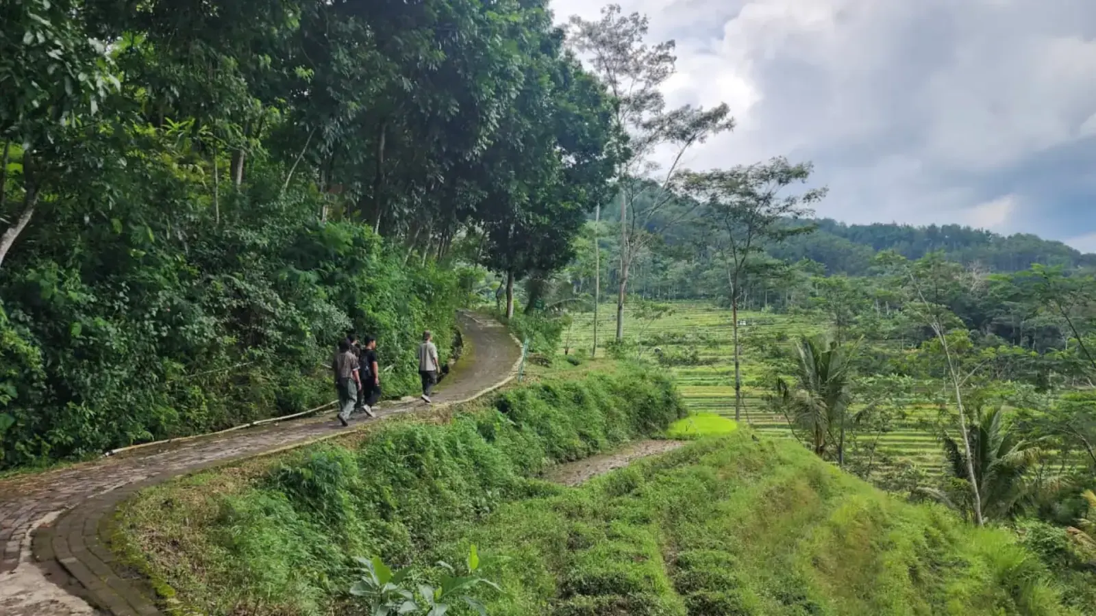 Rice Terraces of Selogriyo