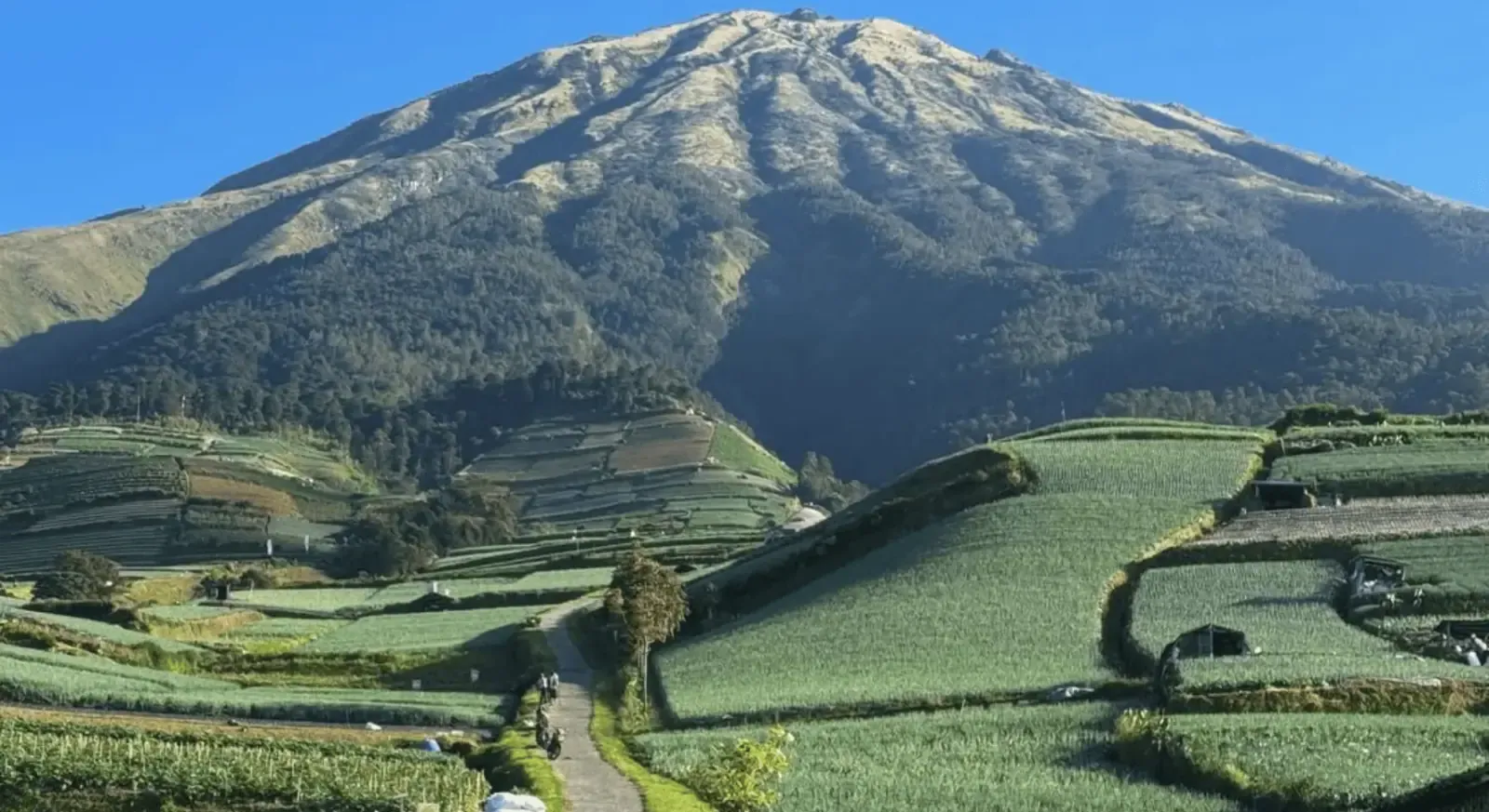Yogyakarta: Nepal Van Java & Vegetable Villages Tour