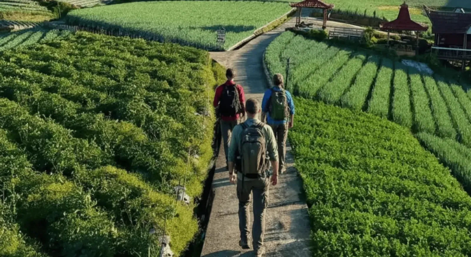 Yogyakarta: Nepal Van Java & Vegetable Villages Tour