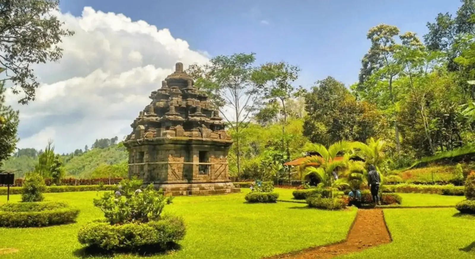 Borobudur Temple & Selogriyo Rice Terraces